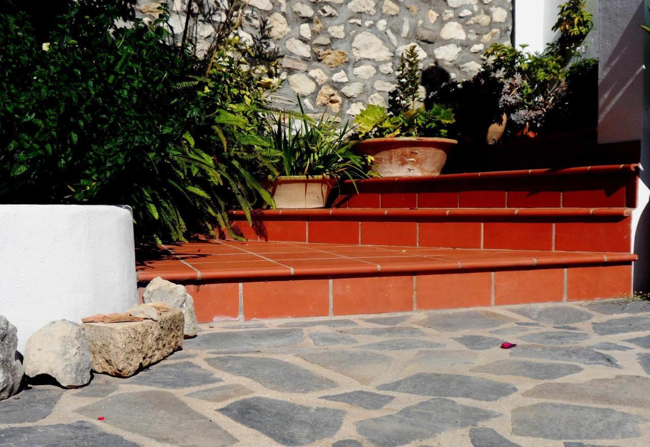 Charming House Ideal For Couples And Young Familie Tárbena المظهر الخارجي الصورة