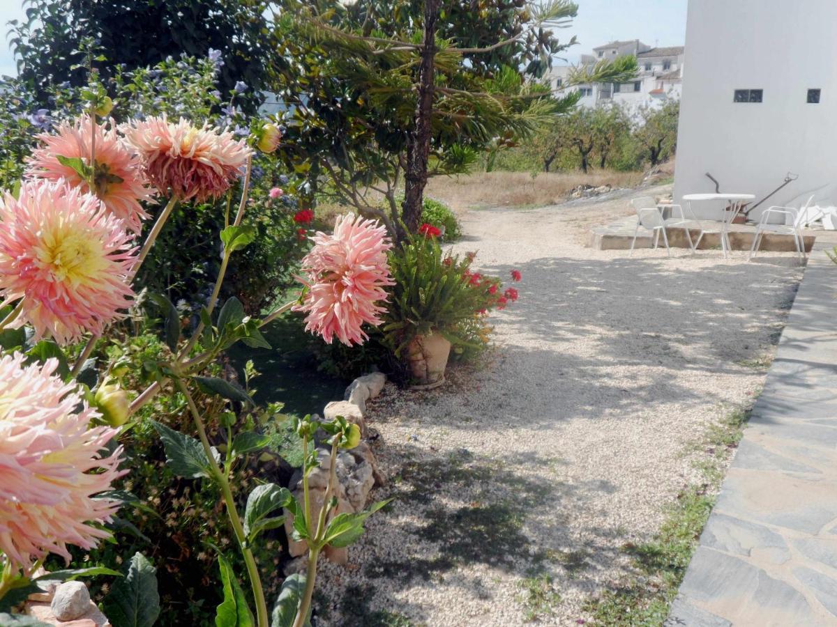 Charming House Ideal For Couples And Young Familie Tárbena المظهر الخارجي الصورة