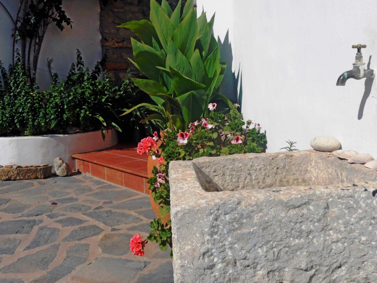 Charming House Ideal For Couples And Young Familie Tárbena المظهر الخارجي الصورة